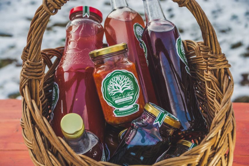 A fost publicat ghidul pentru măsura M7/3A – sesiunea 2 (23.04.2018)