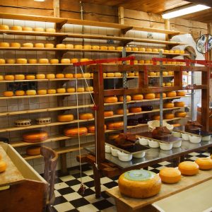 A fost publicat ghidul pentru măsura M7/3A (21.12.2017)