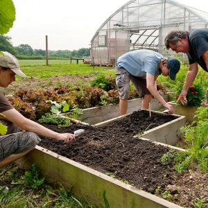 A fost publicat ghidul pentru măsura M5/3A – (25.06.2018)