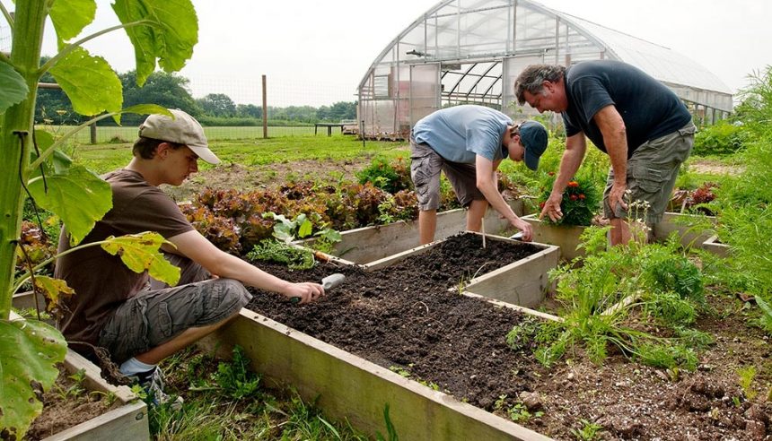 A fost publicat ghidul pentru măsura M5/3A – (25.06.2018)